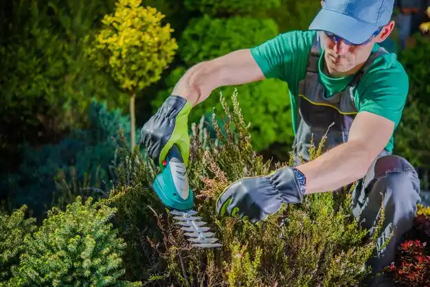 landscaping services Loreauville